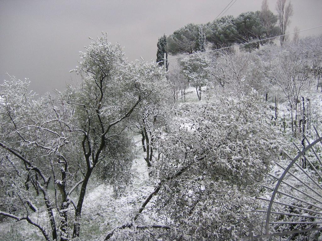 B&B Mare E Monti La Spezia Chambre photo